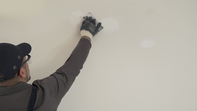  Otsego, MN Drywall & Painting Services Pros